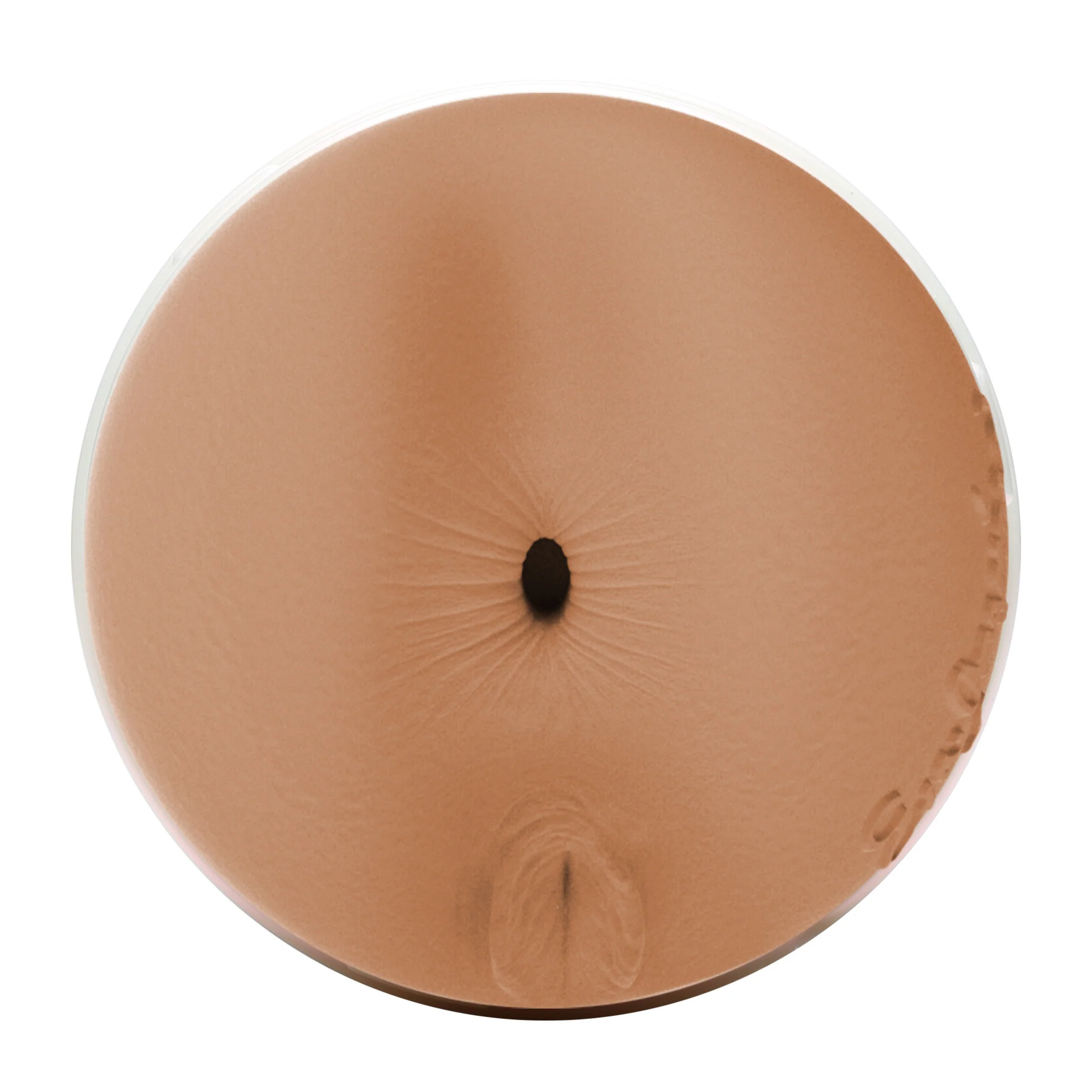 Eva Angelina Fleshlight - Image 8