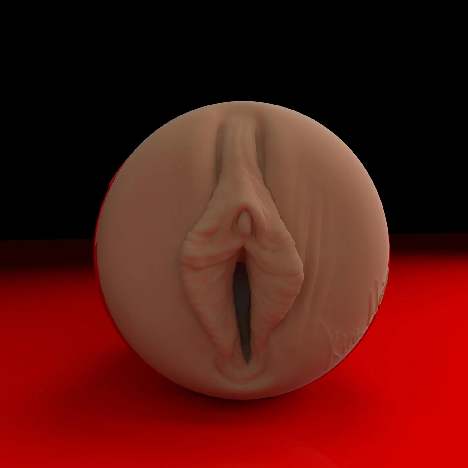 Kira Noir Ricky's Room Fleshlight - Image 5